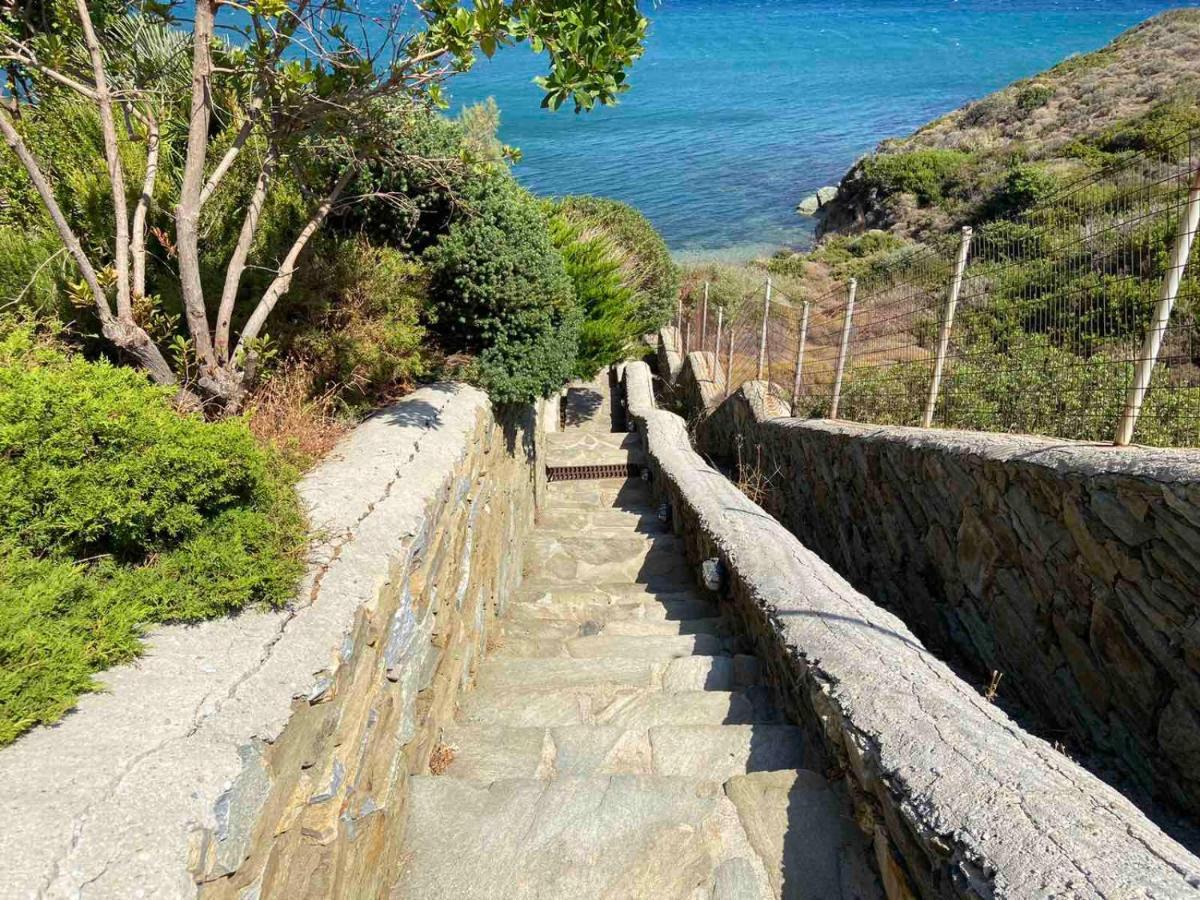 Andros Homes Sea Side Apartment & Studio Gavrio Exteriör bild